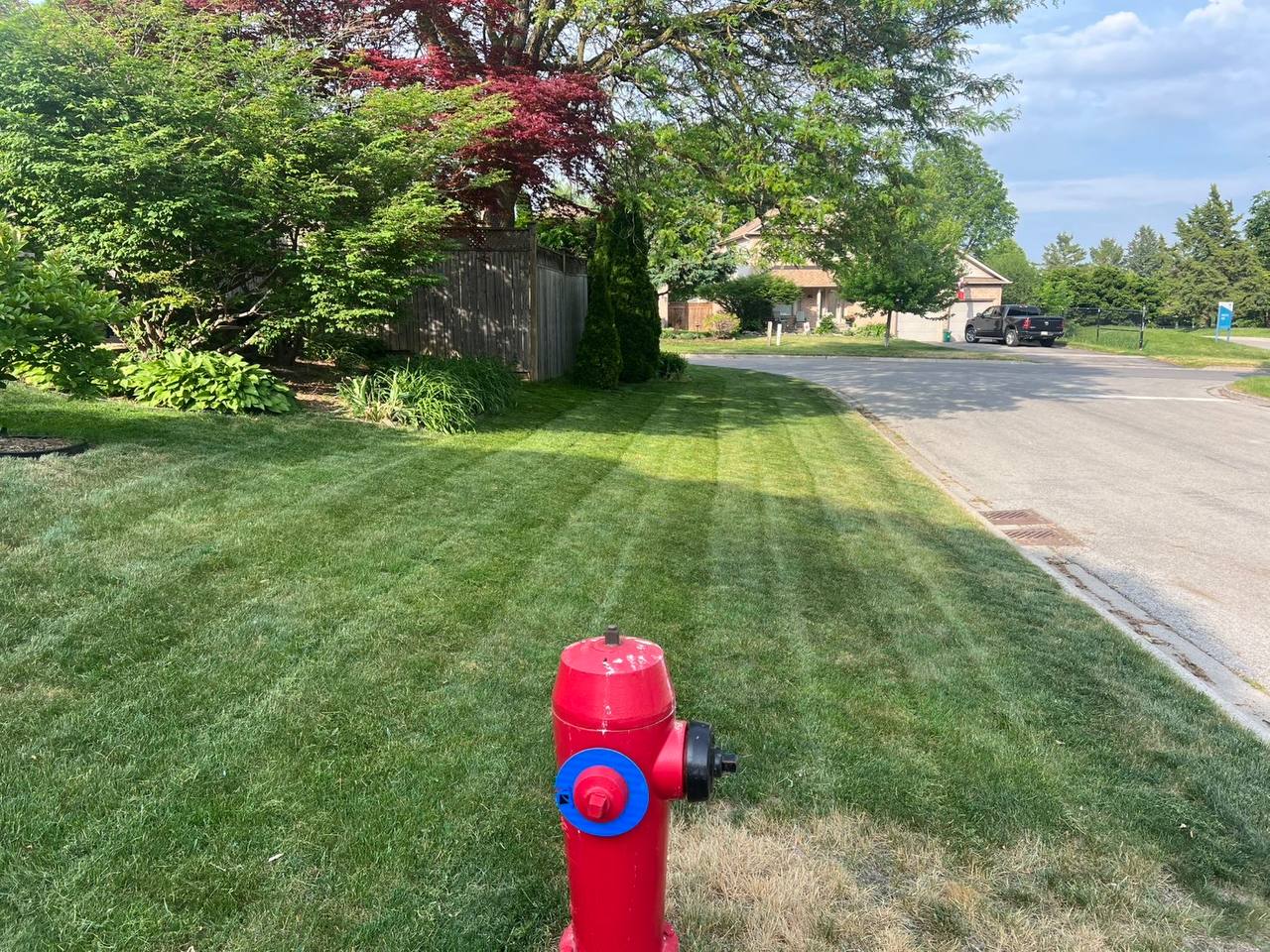 Freshly mowed lawn with crisp stripes after Summit Pine service